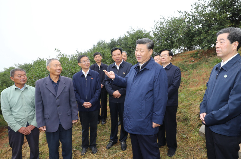 　　9月16日至18日，中共中央總書記、國家主席、中央軍委主席習(xí)近平在河南考察。這是17日上午，習(xí)近平來到信陽市光山縣槐店鄉(xiāng)司馬光油茶園，同正在勞作的村民和管理人員交流。 新華社記者 鞠鵬 攝